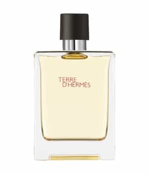 HERMÈS Terre d'Hermès Eau de Toilette